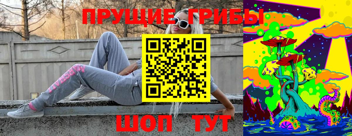 Галлюциногенные грибы MAGIC MUSHROOMS  Галлюциногенные грибы Psilocybe  Вход с VPN  Ахтубинск 